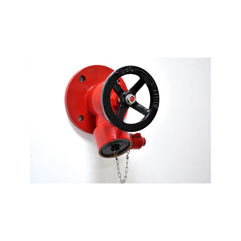 2'/2" Flanged Landing Valve