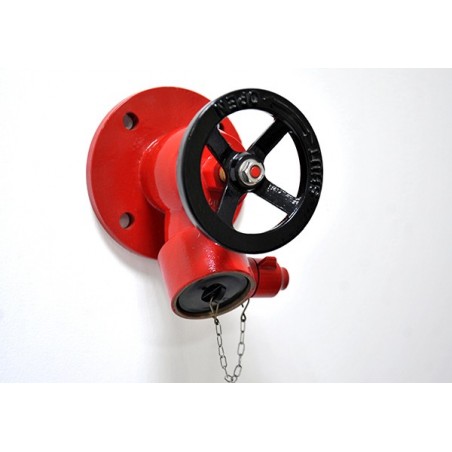 2'/2" Flanged Landing Valve