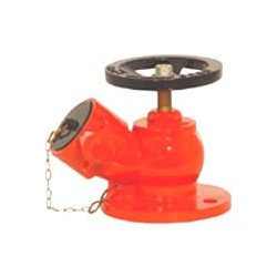 Water Valve Screwed Type 2'/2" 2