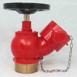 Water Valve Screwed Type 2'/2"