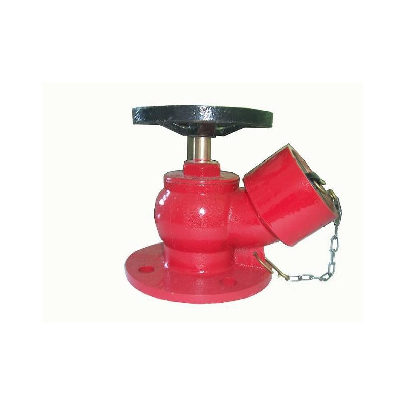 Water Valve Screwed Type 2'/2"